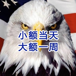 新洲要账公司